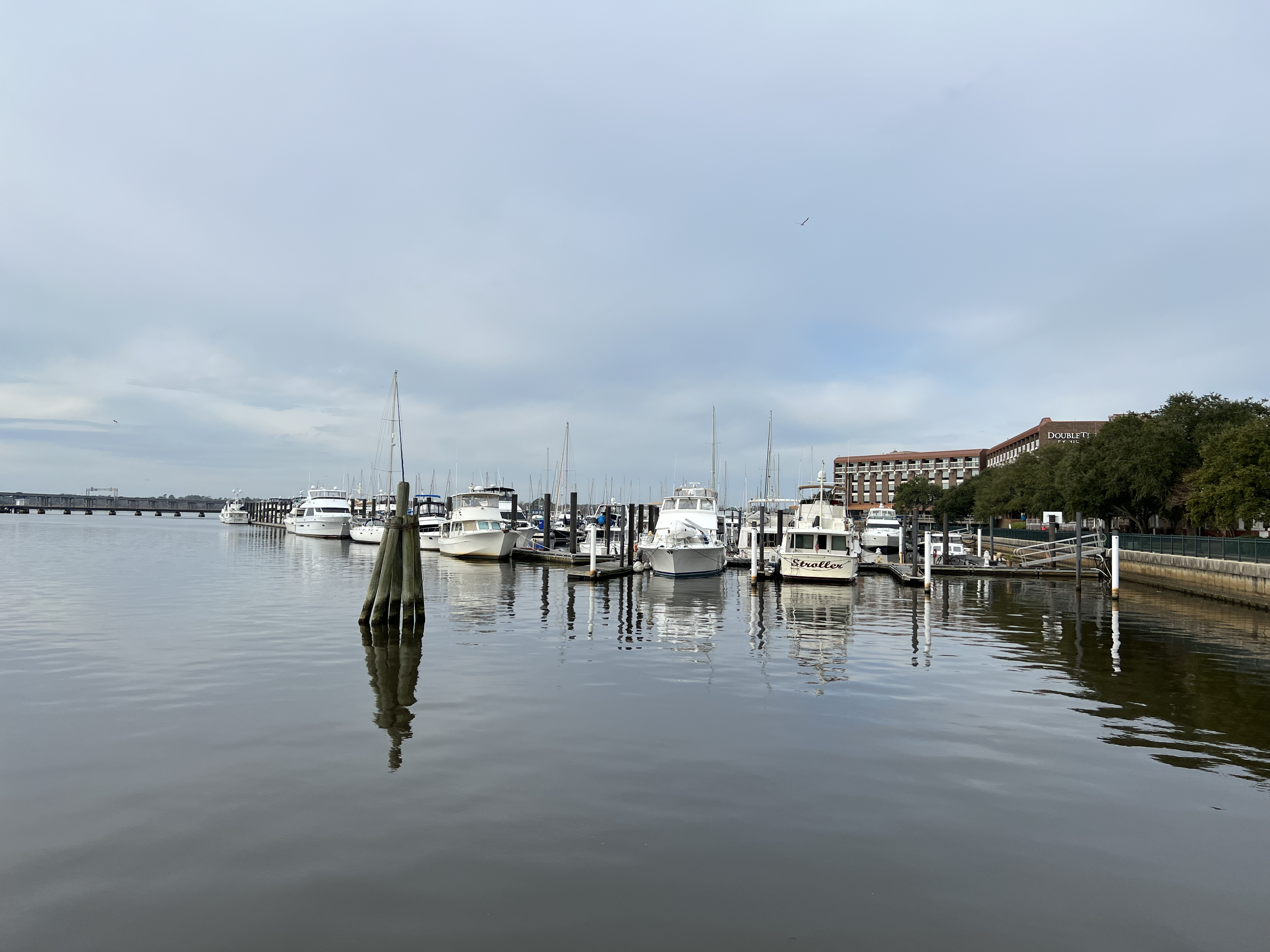 ./2024/01 - New Bern/IMG_0774.jpg